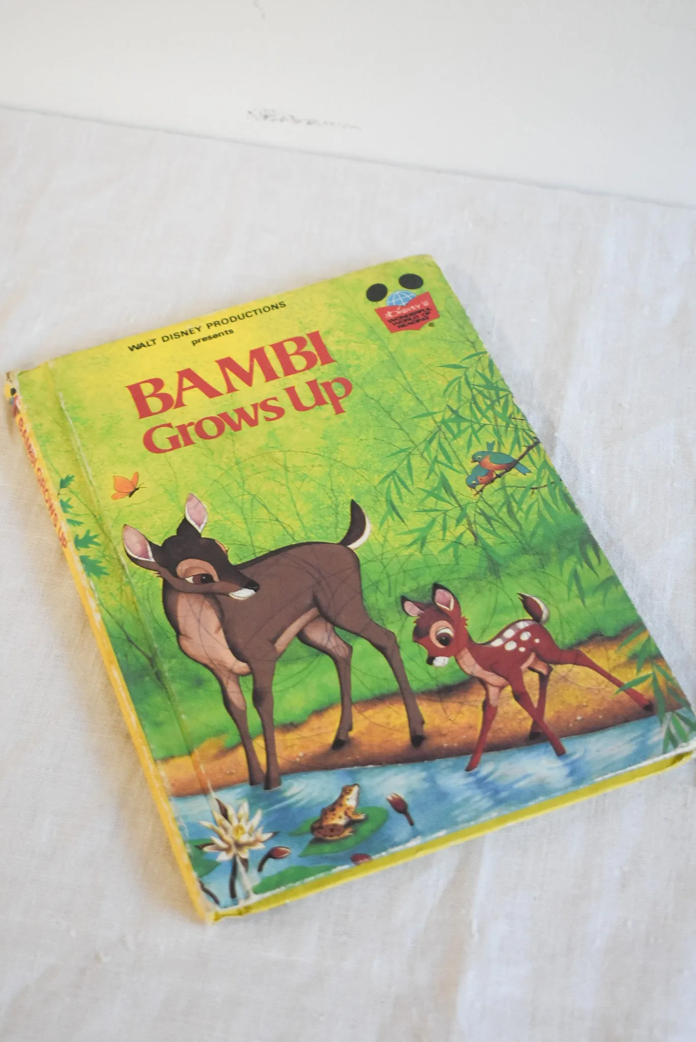 Bambi Grows Up   Frisky childrens book bundle