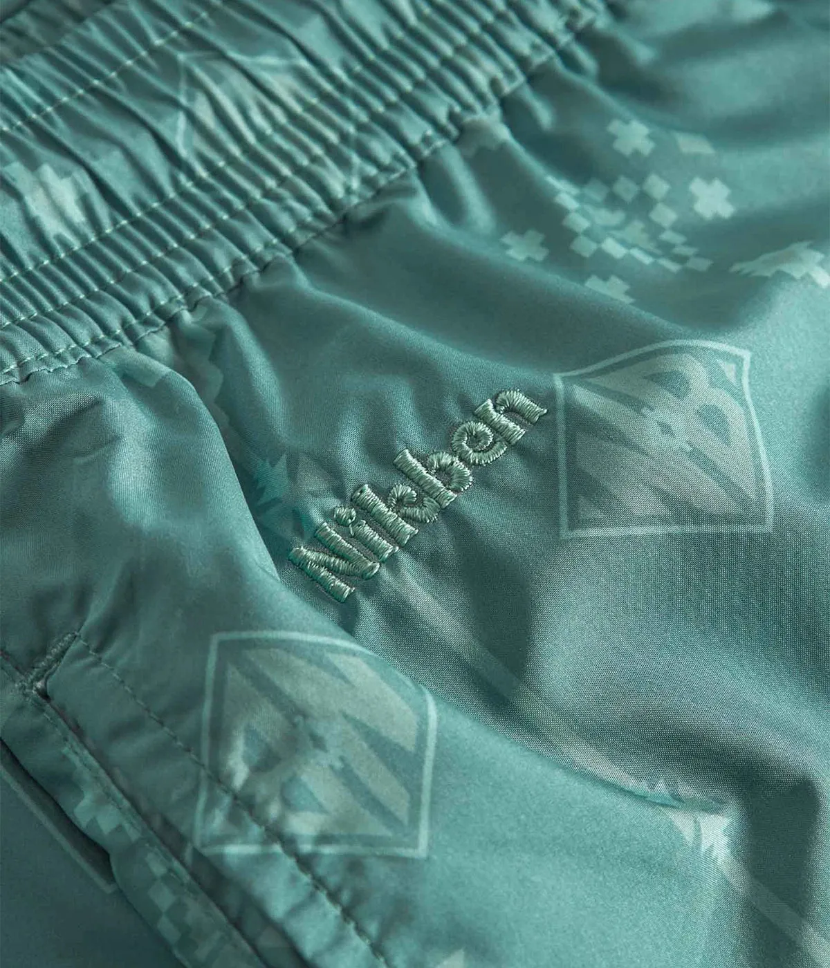 Chico Swim Short in Green