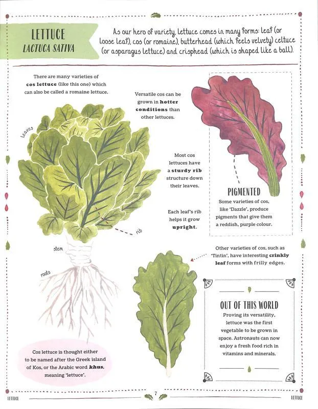 Grow by Rizanino Reyes and illustrated by Sara Boccaccini Meadows