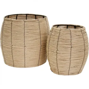 Ivy Baskets